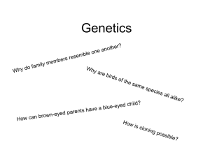 Genetic - summersciencereview