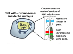 Purposes of Cell Division