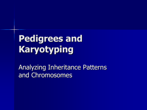 Karyotyping and Pedigrees