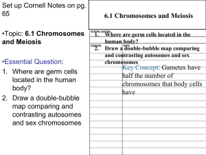 6.1 Chromosomes and Meiosis