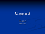 Chapter 5