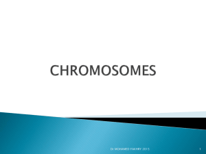 chromosomes