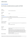 Rat Choline Acetyltransferase peptide ab97420 Product datasheet Overview Product name