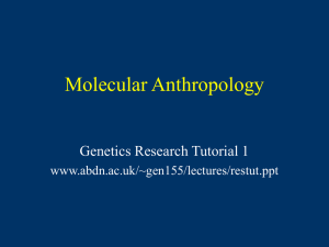 Honours Genetics Research Tutorial