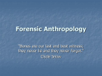 Forensic Anthropology - Bryn Mawr School Faculty Web Pages