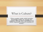 What is Culture?