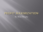 Profit maximization