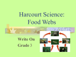 foodwebs