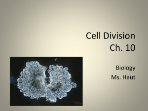 Cell Growth and Cell Division