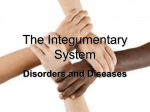 Integumentary - Cloudfront.net