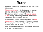 Burns and Other Skin Disorders