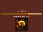 Cancer