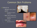 Skin Problems