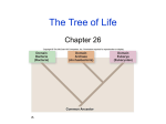 Bio 102 Biodiversity Part1 Ch.26