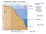 Bioluminescence