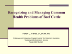 Recognizing and Managing Common Health Problems of Beef Cattle