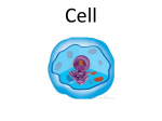 Cell