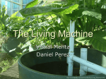 The Living Machine