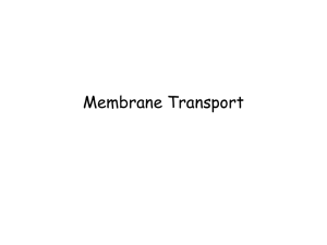 Membrane Transport