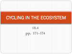 CYCLING IN THE ECOSYSTEM