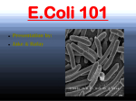 E.Coli 101