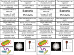 Bacteria vs. Virus Venn Diagram