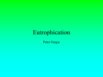 Eutrophication