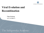 Evolution of HSV-1 and VZV.