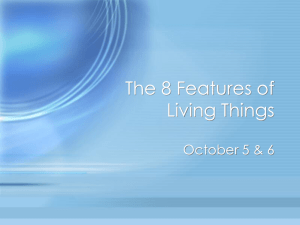 The 8 Features of Living Things