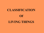 Classification of Living Things