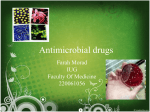 Antimicrobial drugs