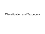 Classification and Taxonomy