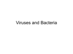 How are bacteria different from viruses?