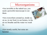 Microorganisms