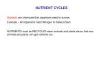 1.2_nutrient_cycles 880KB May 22 2015 12:21:18 PM