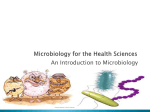 Introduction to Microbiology