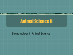 Animal Science II