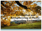 Purification and Reengineering of Plastic