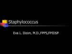 Staphylococcus