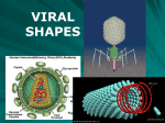 Viral Shapes - Kenston Local Schools