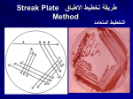 Practical Medical Microbiology PHT382