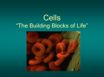 Cells “The Building Blocks of Life”