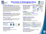 UMass Boston Poster vaccine