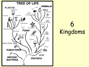 6 Kingdoms - Walton High