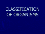 CLASSIFICATION OF ORGANISMS