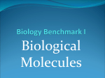 Benchmark I Review - Fort Hill High School