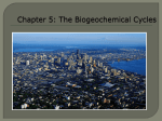 Chapter 5: The Biogeochemical Cycles