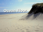 Ocean Floor