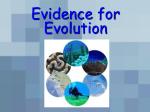 Evidence for Evolution