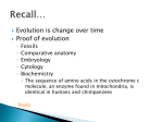 Heterotrophic Hypothesis